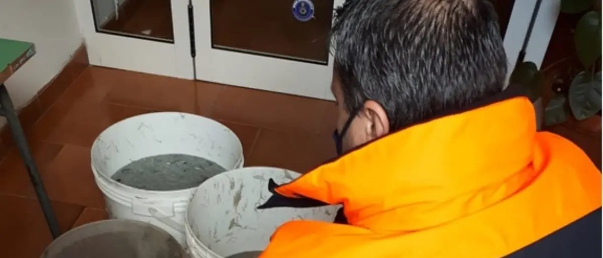 In auto 25 chili di novellame pescato irregolarmente: sequestro e sanzioni nel Cosentino