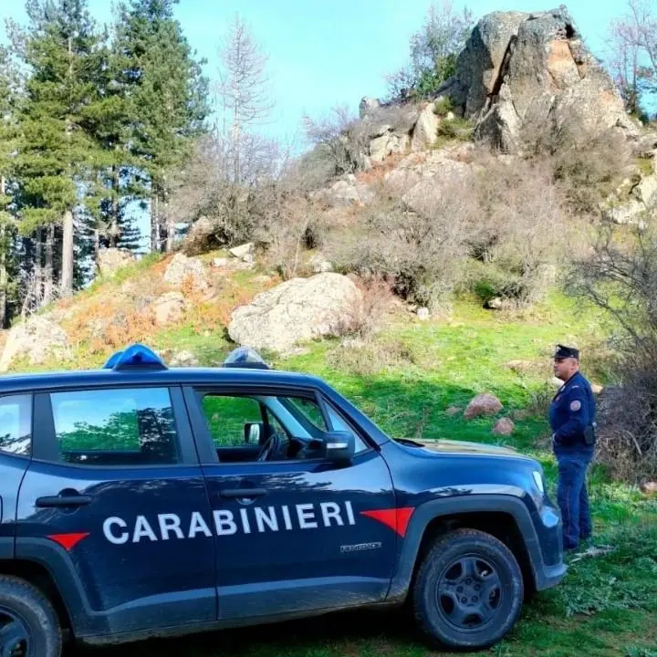 Trasporto abusivo di inerti in zona sottoposta a vincolo, arrestato un uomo di Badolato