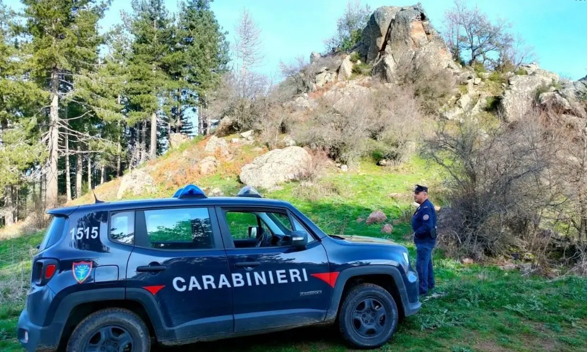 Trasporto abusivo di inerti in zona sottoposta a vincolo, arrestato un uomo di Badolato