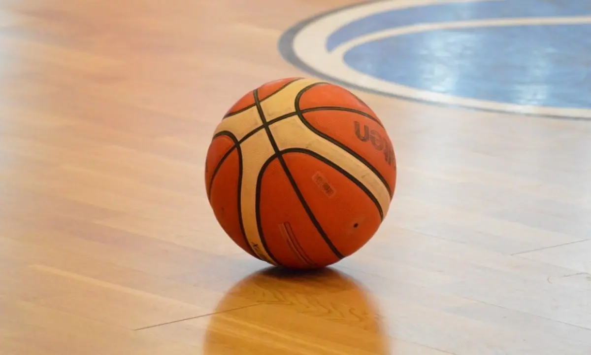 La Viola Reggio Calabria non si ferma più: Molfetta battuta 91-73. Sesta vittoria nelle ultime sette