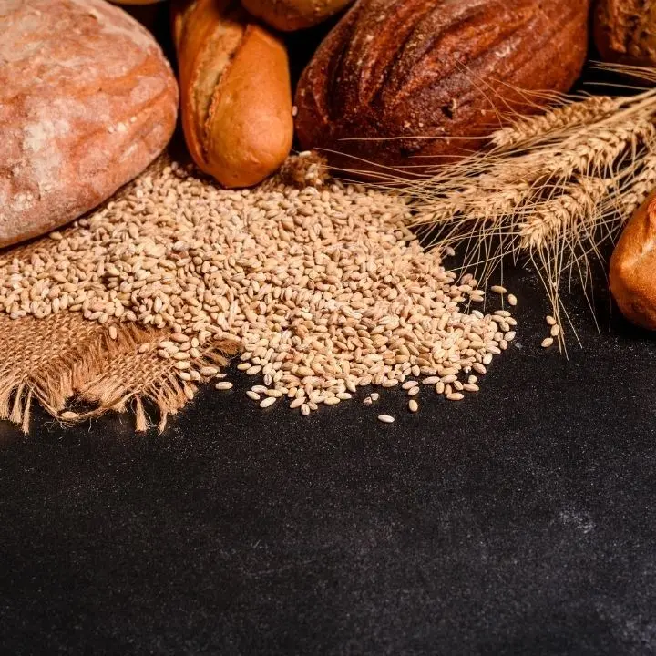 Costi del grano alle stelle, panificatori comprano insieme la farina: «Unico modo per non alzare i prezzi»