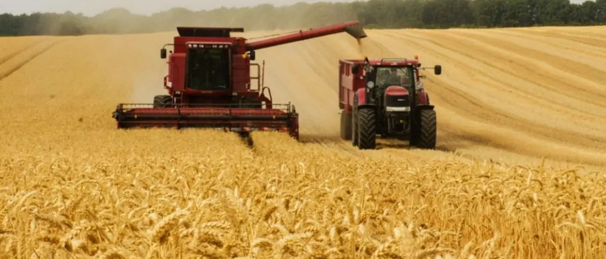 Molti Paesi Ue bloccano le esportazioni di grano, in Italia scorte disponibili solo per due mesi