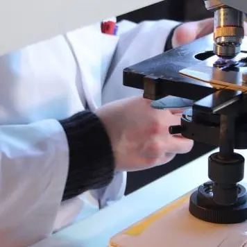 Tubercolosi, 1,5 milioni di morti nel 2020. Oms: «Causa pandemia annullati anni di progressi»