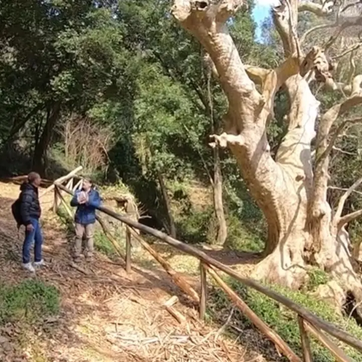 Le bellezze di Curinga tra storia, natura e leggenda nella nuova puntata della Terra del Sole