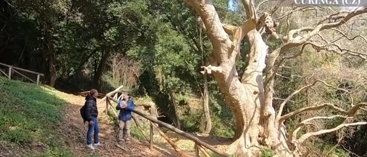 Le bellezze di Curinga tra storia, natura e leggenda nella nuova puntata della Terra del Sole