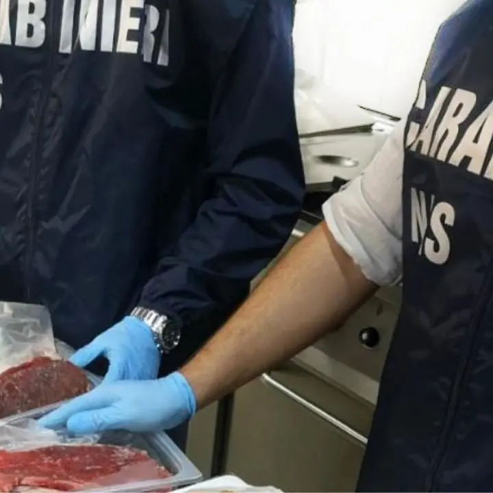 Carne congelata e mal conservata, denunciata la titolare di una macelleria nel Reggino