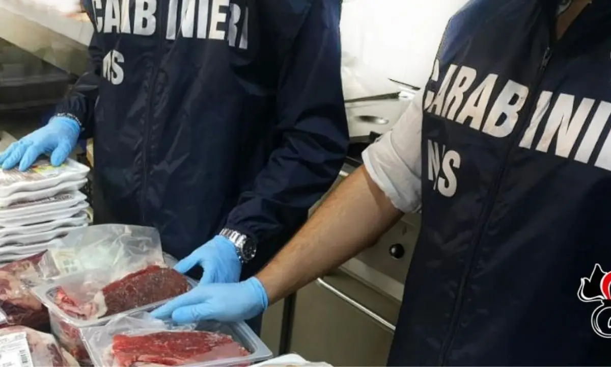 Carne congelata e mal conservata, denunciata la titolare di una macelleria nel Reggino