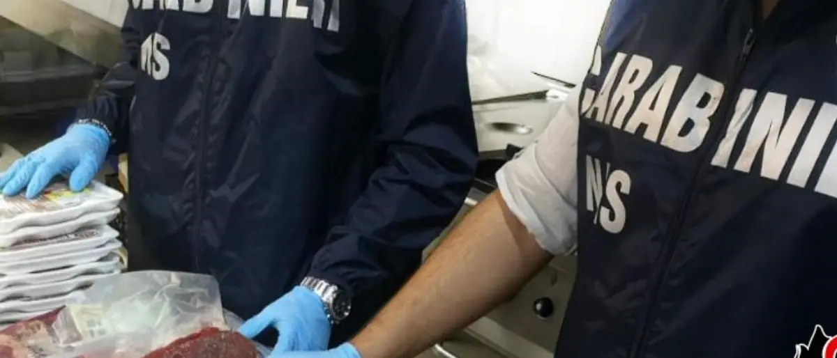 Carne congelata e mal conservata, denunciata la titolare di una macelleria nel Reggino