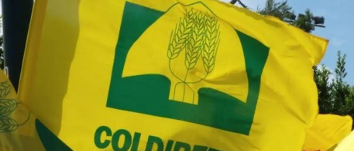 Agricoltura in crisi, Coldiretti: «In Calabria possibile riattivare 8mila ettari per grano e mais»