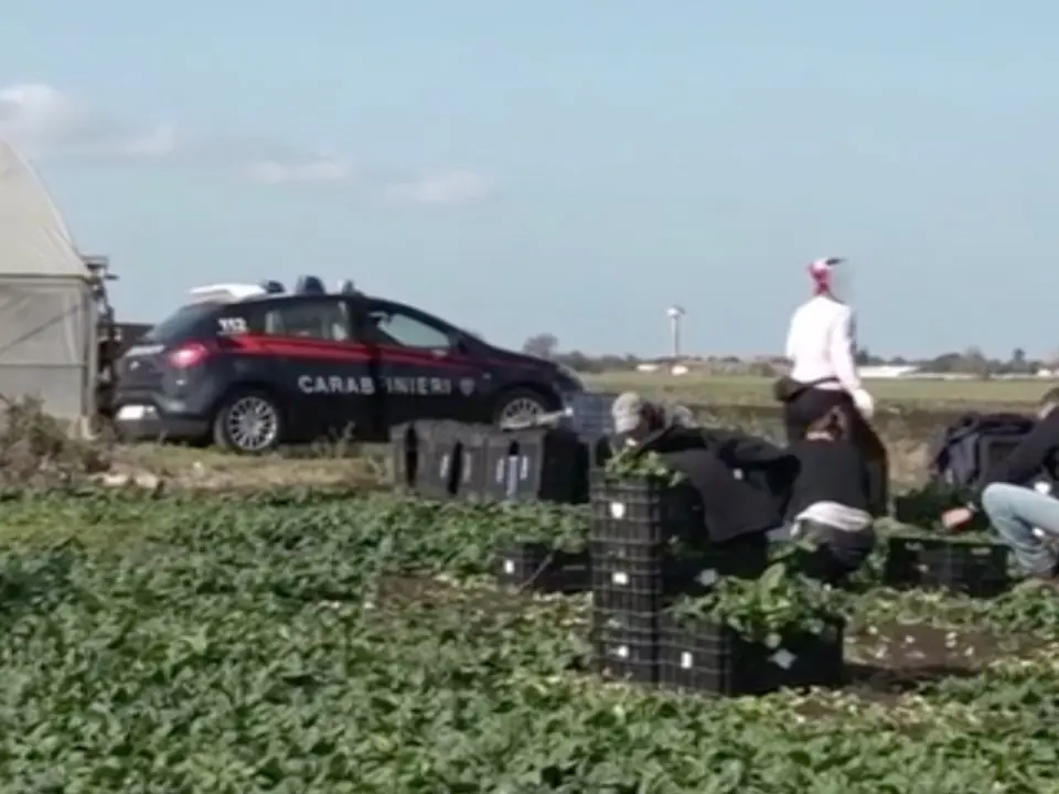 Caporalato nella Piana di Sibari, il Pd Calabria: «Quadro inquietante, serve una risposta forte dello Stato»