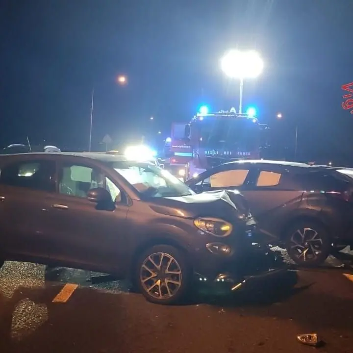 Incidente a Catanzaro, cinghiale che attraversa carreggiata causa impatto tra 3 auto: 4 feriti