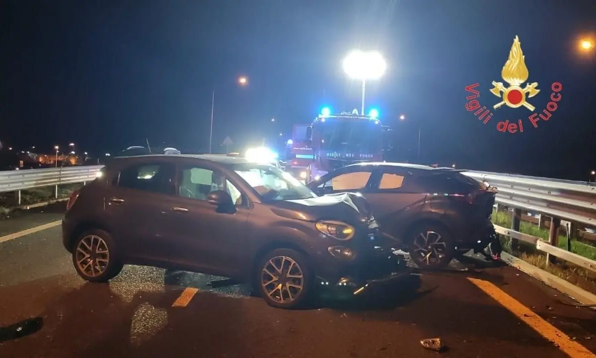 Incidente a Catanzaro, cinghiale che attraversa carreggiata causa impatto tra 3 auto: 4 feriti