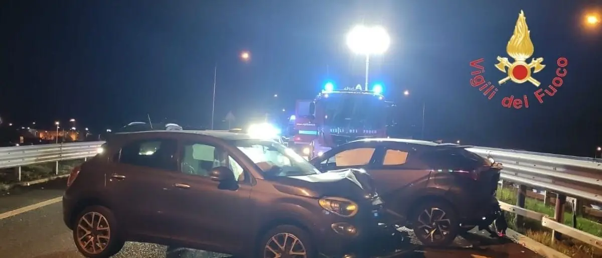 Incidente a Catanzaro, cinghiale che attraversa carreggiata causa impatto tra 3 auto: 4 feriti