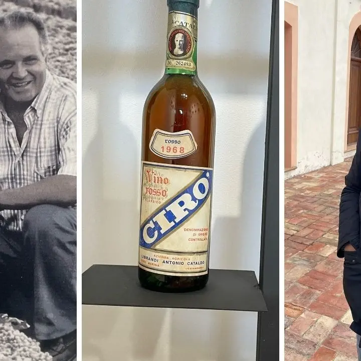 Sei ettari di terreni e una cantina, gli esordi di Librandi che ora esporta in 40 paesi e vende 2 milioni di bottiglie all’anno