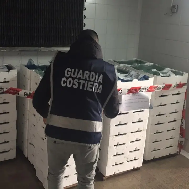 Corigliano Rossano, sequestrati 330 chili di novellame di sarda