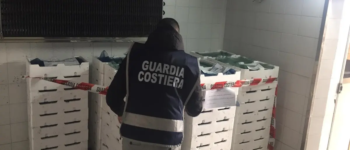 Corigliano Rossano, sequestrati 330 chili di novellame di sarda