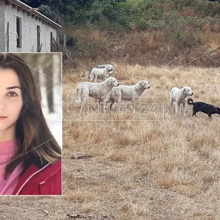 Sbranata dai cani a Satriano, l’allevatore sceglie di non rispondere al gip