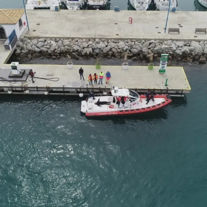 Un patrimonio da proteggere, Tropea pronta a celebrare la Giornata del mare