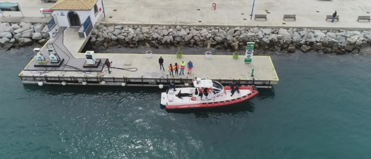 Un patrimonio da proteggere, Tropea pronta a celebrare la Giornata del mare
