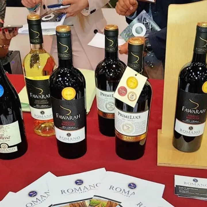 Romano torna al Vinitaly con nuove linee di vini e altre novità