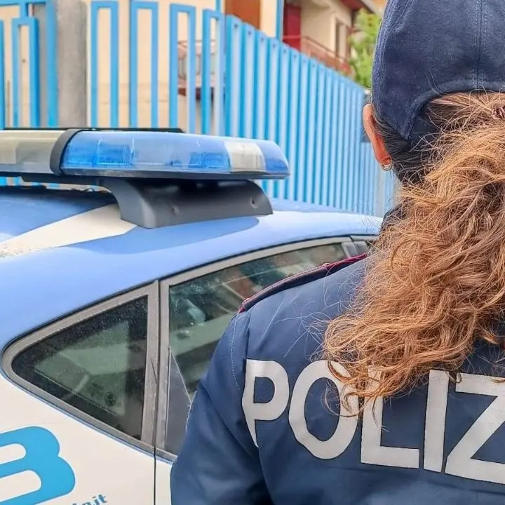 Taurianova, in casa 13 piante di marijuana e 80 grammi di hashish: un arresto