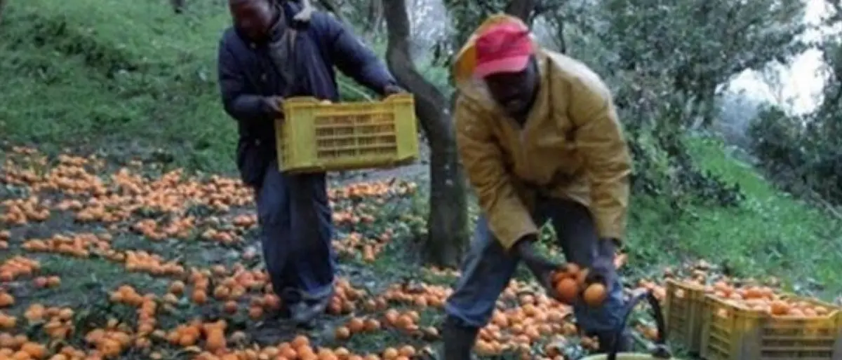 Nasce nella Piana di Gioia Tauro un ostello sociale: ospiterà braccianti impegnati nella raccolta delle arance