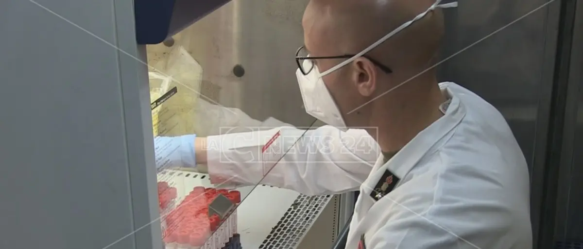 Il virus continua a mutare: scoperta a Catanzaro la nuova combinazione Xl della variante Omicron