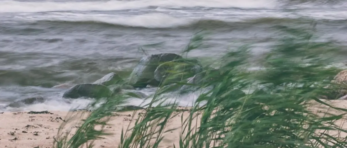 Maltempo Calabria, in arrivo venti forti e di burrasca: scatta l’allerta della Prociv