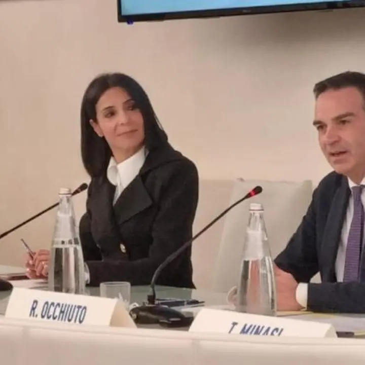 Pnrr, bando asili nidi: «Incremento domande del 76%, Calabria sul podio per richieste di finanziamenti»