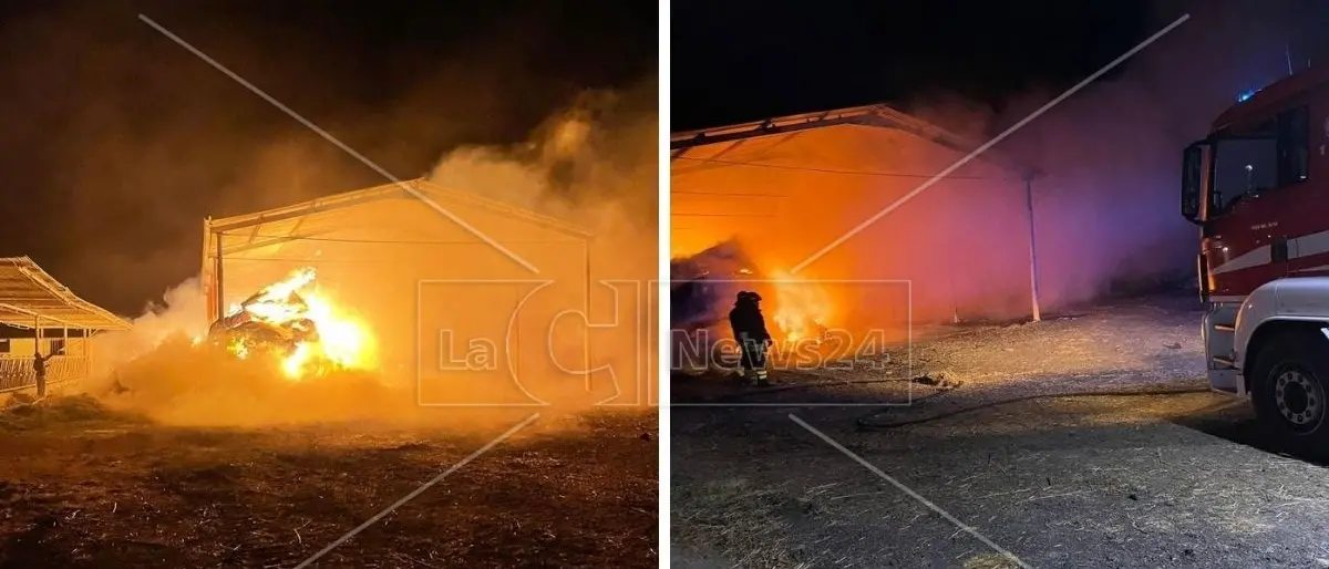 Incendio in una azienda agricola a Cassano, a fuoco mille balle di fieno e un trattore
