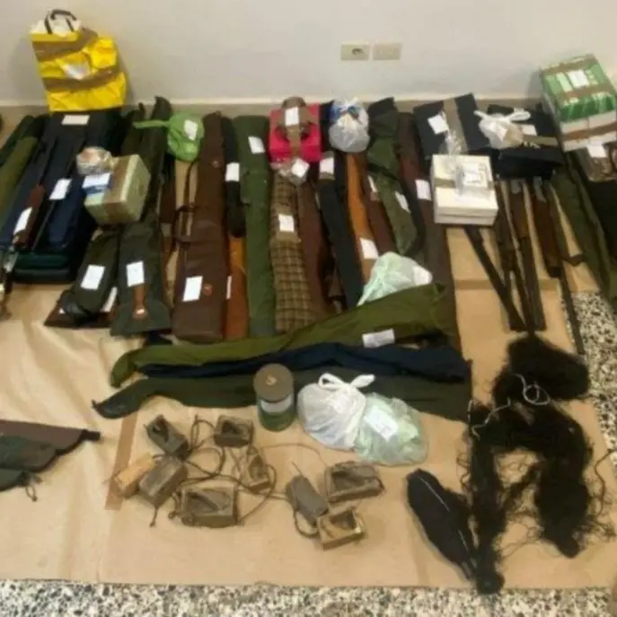 Autorizzati a cacciare cinghiali catturano ghiri e fringuelli: 16 denunce nel Reggino