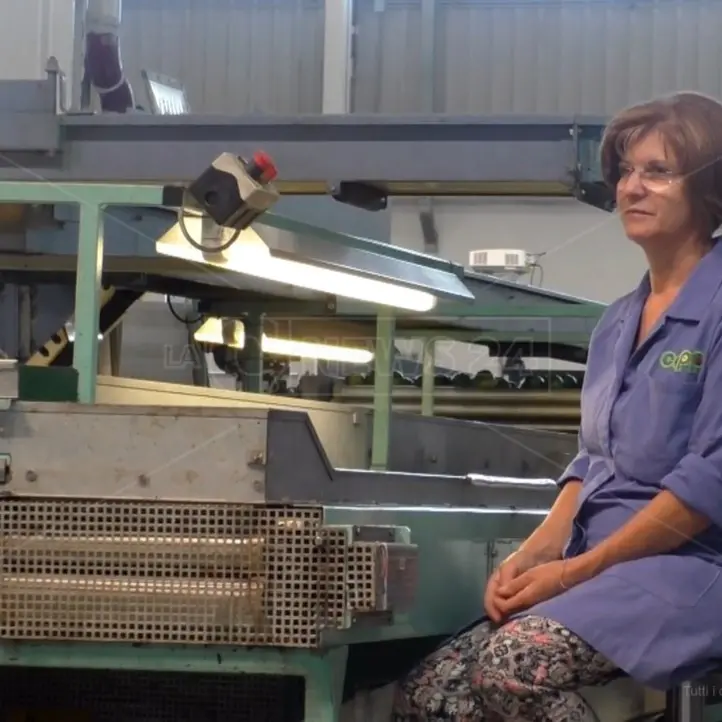 Calabria ultima in Italia per welfare e occupazione, ma è quella che spende di più in reddito di cittadinanza