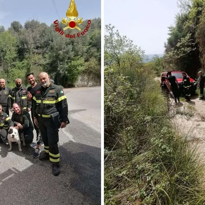 Rombiolo: precipita in un dirupo per recuperare il cane e rimane bloccato, soccorso dai vigili del fuoco