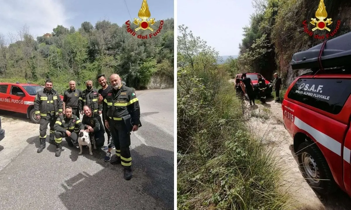 Rombiolo: precipita in un dirupo per recuperare il cane e rimane bloccato, soccorso dai vigili del fuoco