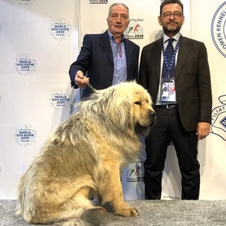 Viene dalla Calabria il cane più bello d’Europa, Kitana vince e si impone tra 19mila concorrenti