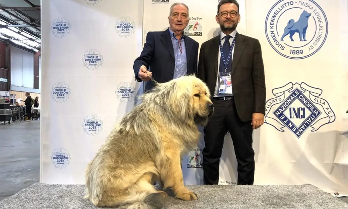 Viene dalla Calabria il cane più bello d’Europa, Kitana vince e si impone tra 19mila concorrenti