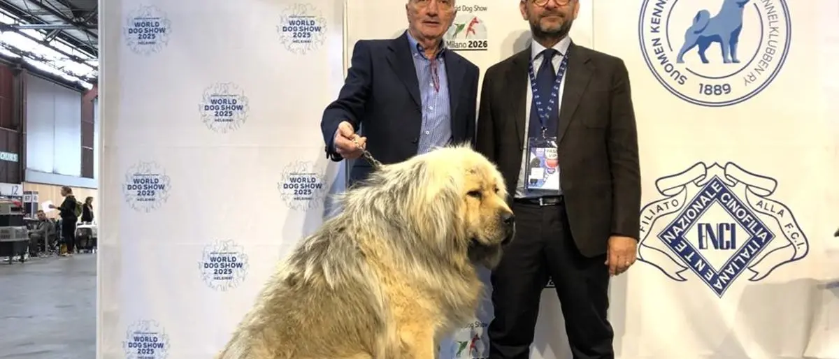 Viene dalla Calabria il cane più bello d’Europa, Kitana vince e si impone tra 19mila concorrenti
