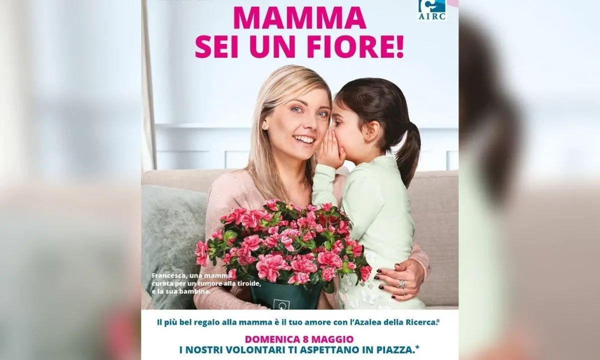 Ricerca sul cancro, anche in 170 piazze calabresi “fiorirà” l’8 maggio l’azalea dell’Airc