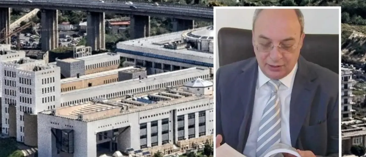 Università di Reggio Calabria, Feliciantonio Costabile nominato rettore facente funzioni