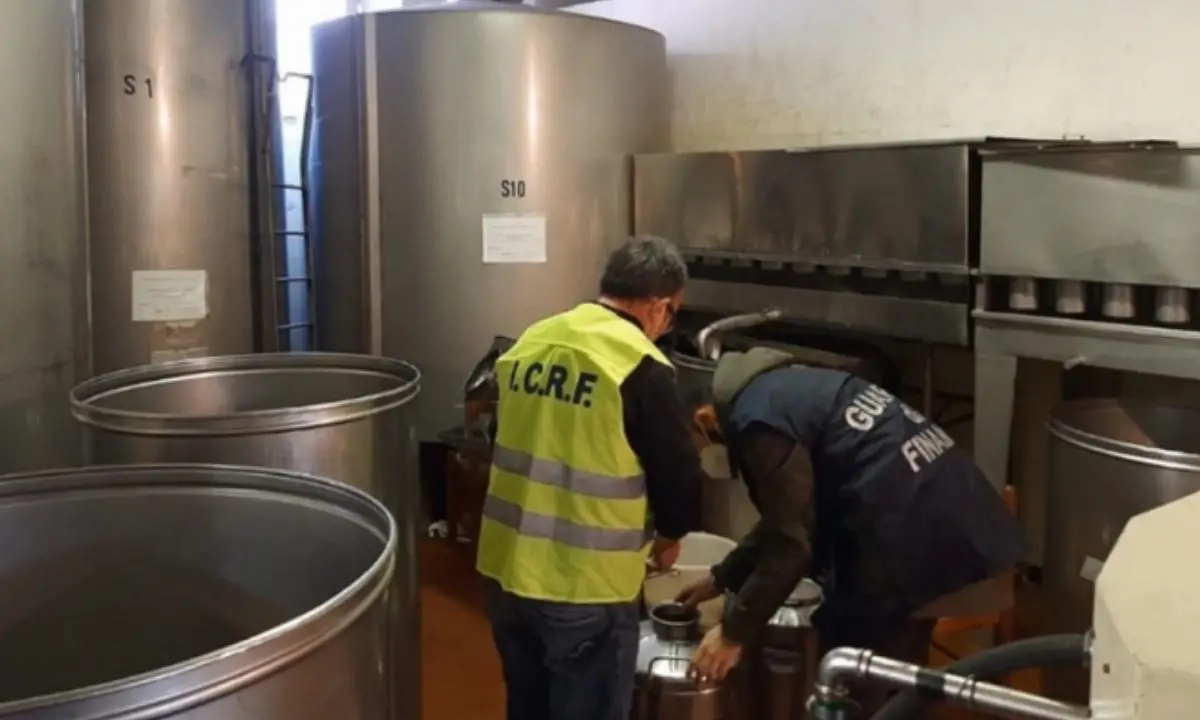 Olio extravergine d’oliva taroccato, sequestrati oltre 2,3 milioni di litri irregolari
