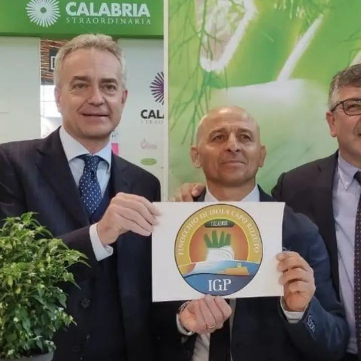 Agricoltura, il finocchio di Isola Capo Rizzuto ottiene il riconoscimento Igp: «Grande soddisfazione»