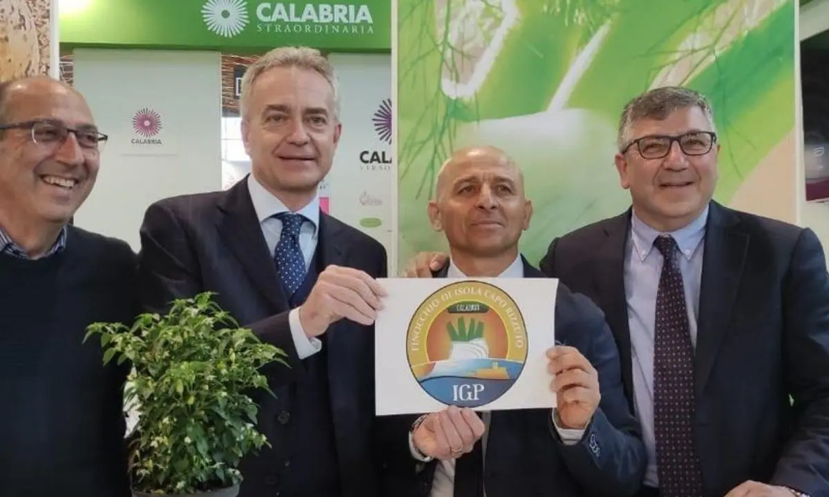 Agricoltura, il finocchio di Isola Capo Rizzuto ottiene il riconoscimento Igp: «Grande soddisfazione»