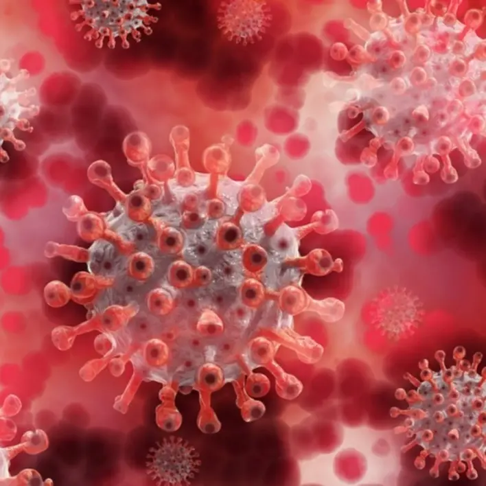 Covid, isolata anche a Cosenza la variante Omicron Ba4 del virus