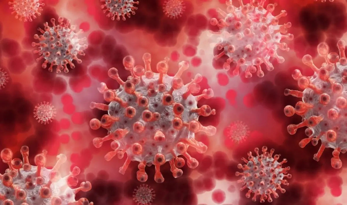 Covid, isolata anche a Cosenza la variante Omicron Ba4 del virus