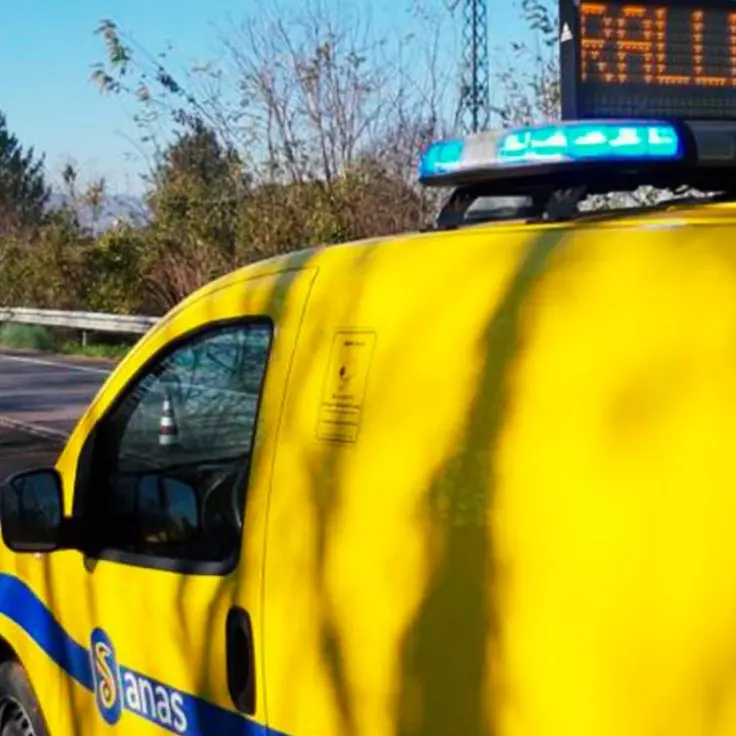 Maltempo, alberi sulla statale 19 delle Calabrie: strada chiusa in entrambe le direzioni a Soveria