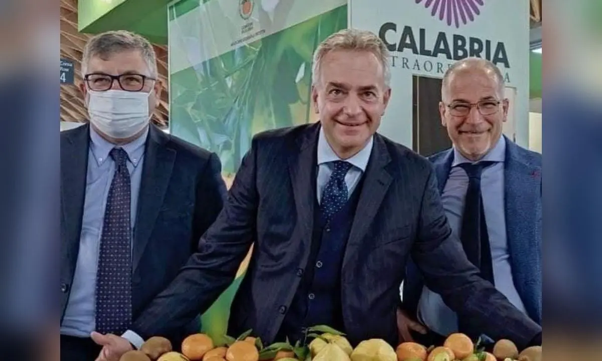 Agricoltura, il cedro di Santa Maria ottiene il marchio Dop: il parere favorevole del ministero