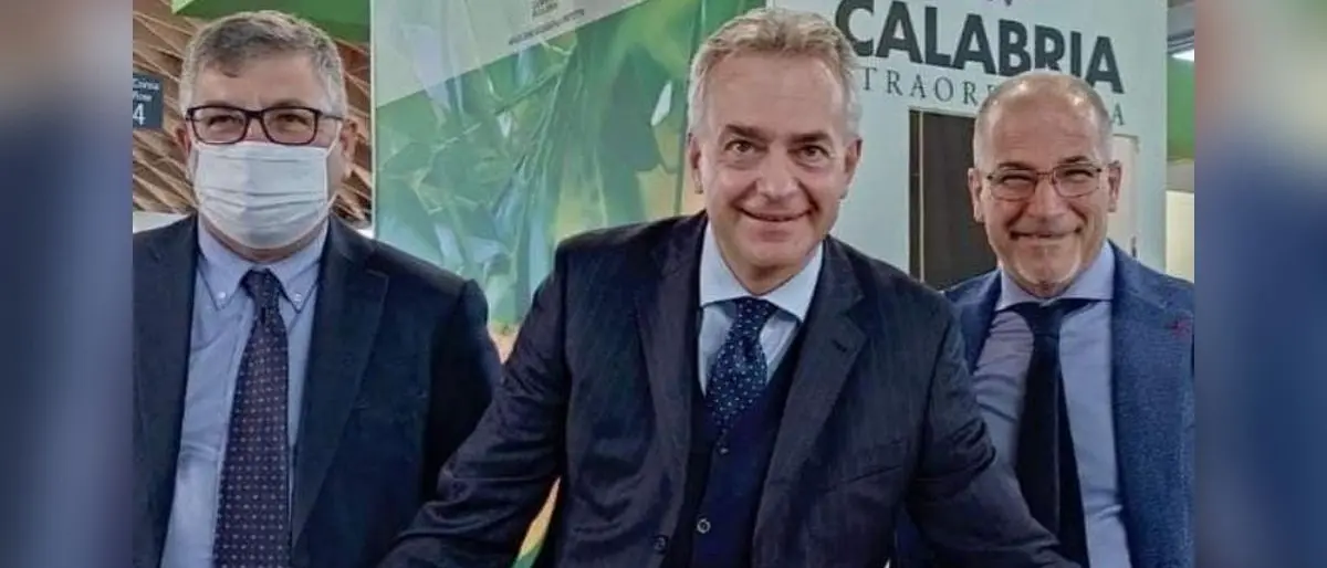 Agricoltura, il cedro di Santa Maria ottiene il marchio Dop: il parere favorevole del ministero