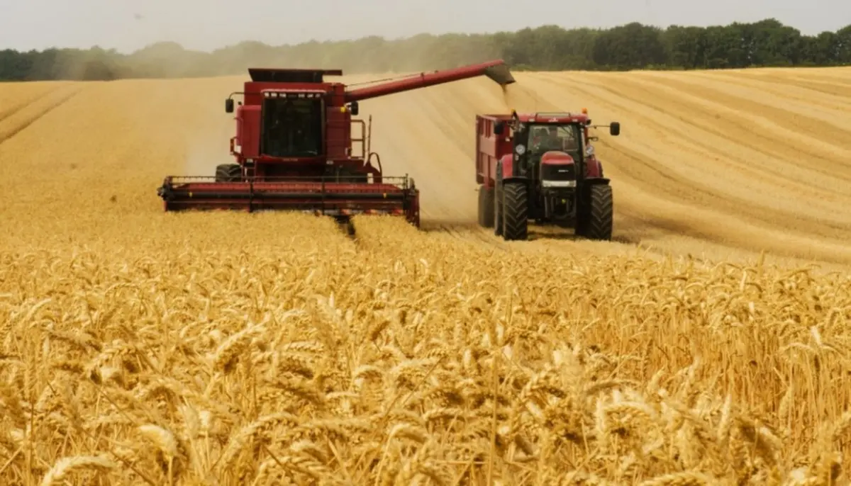 Rincari e scorte a rischio per la guerra, gli agricoltori valutano nuove tecniche per produrre più grano