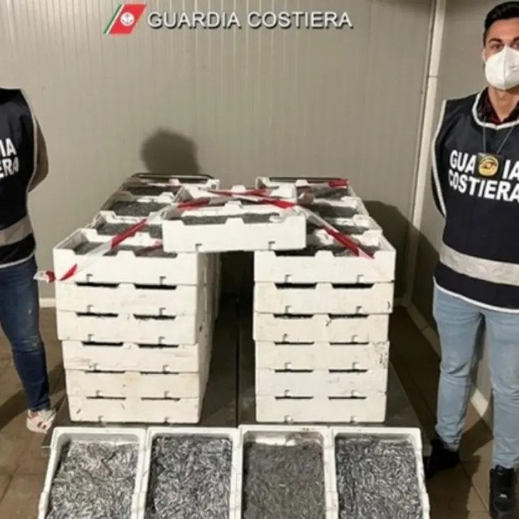A Corigliano-Rossano sequestrati 4,5 quintali di novellame: irrogate 29mila euro di multe