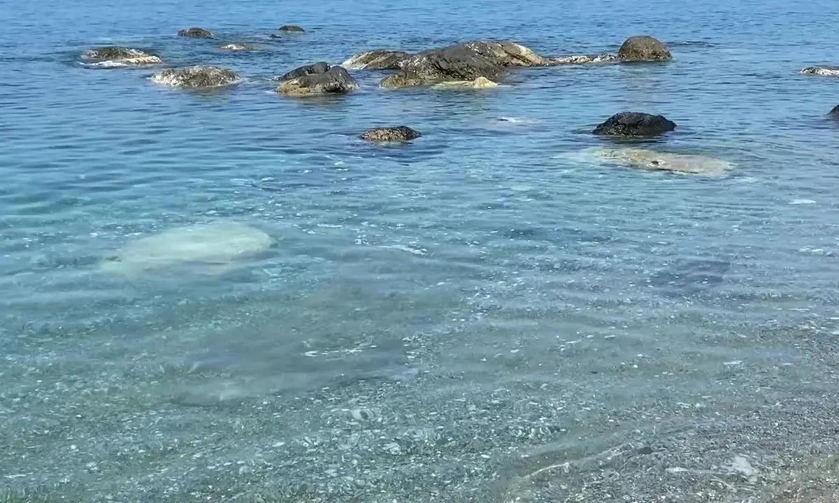 La denuncia di un cittadino del Cosentino: «A San Lucido l’acqua è sempre sporca»